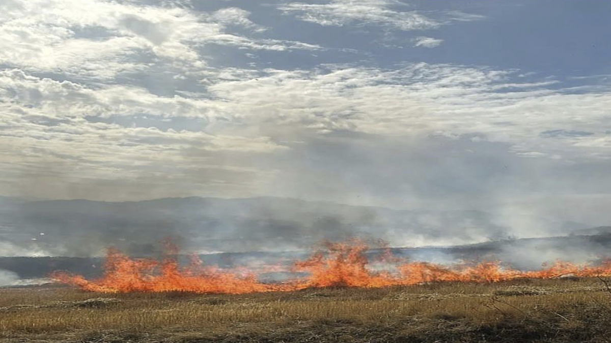 Elazığ’da korkutan anız yangını
