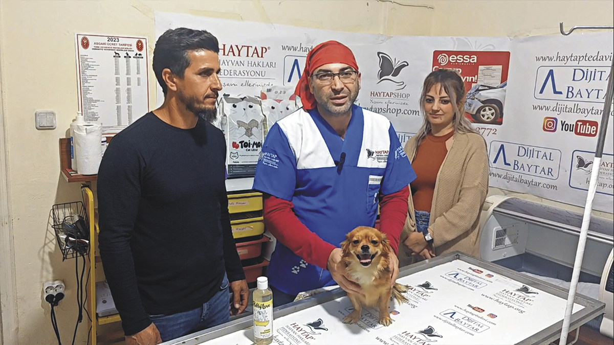 Otomobilin çarptığı Şila'nın kalçası kırıldı