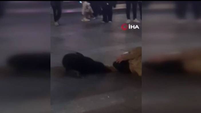 Sahipsiz köpek yerde yatan adamın yanına kimseyi yaklaştırmadı