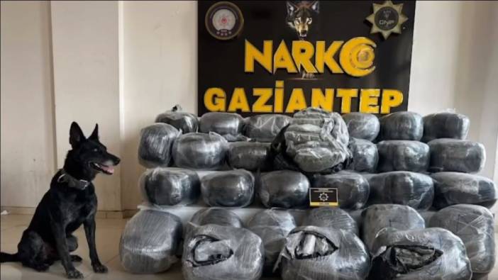 'Narkogüç' operasyonlarında 22 şüpheli gözaltına alındı