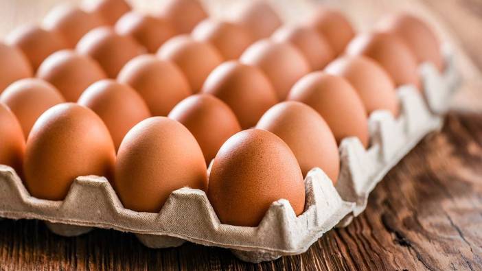 Yumurta üreticilerinin sözlü savunma toplantısı yapıldı