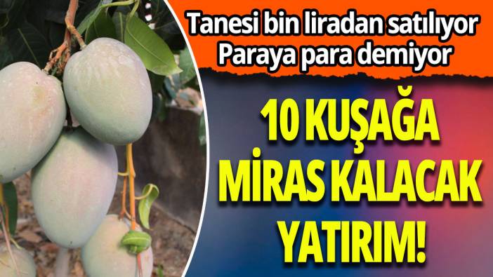 10 kuşağa miras kalacak yatırım! Tanesi bin liradan satılıyor