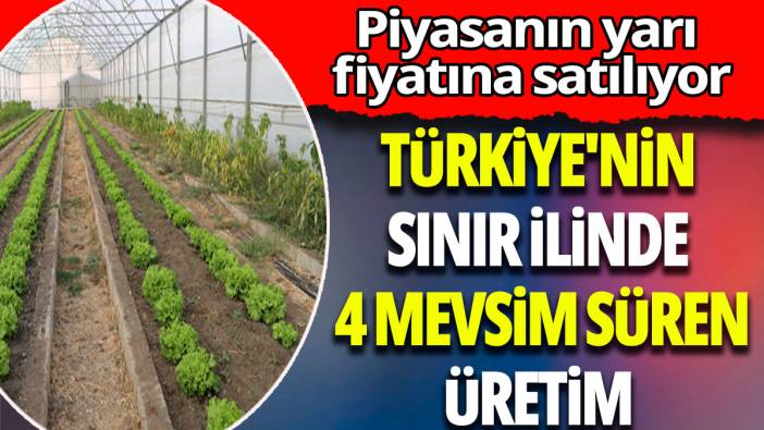 Piyasanın yarı fiyatına satılıyor: Türkiye'nin sınır ilinde 4 mevsim süren üretim