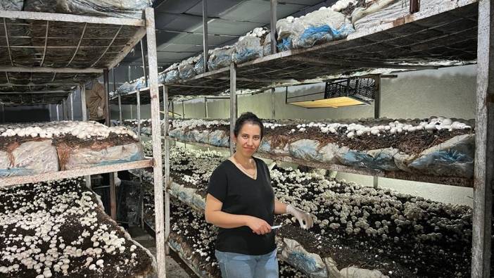 Girişimci kadın kültür mantarı üretiyor! İlk hasadını yaptı