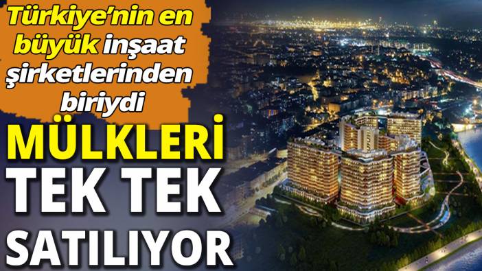 Türk gayrimenkul devinin mülkleri tek tek satılıyor