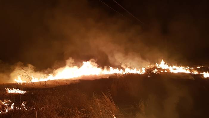 Son bir ayda çıkan yangınlarda binlerce dönüm arazi yandı
