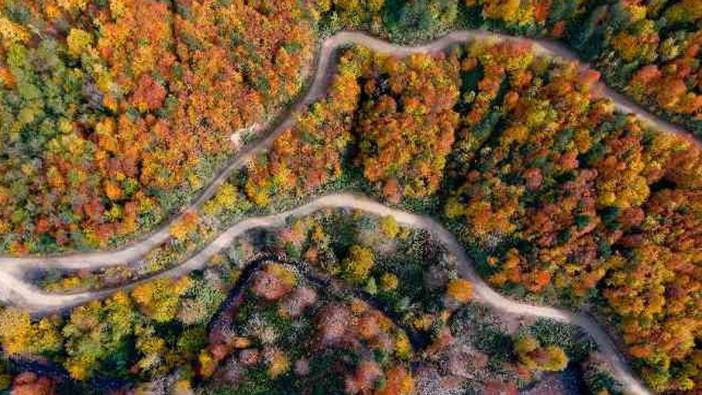 Karabük ormanları sonbaharın ahenkli renklerini yansıtıyor