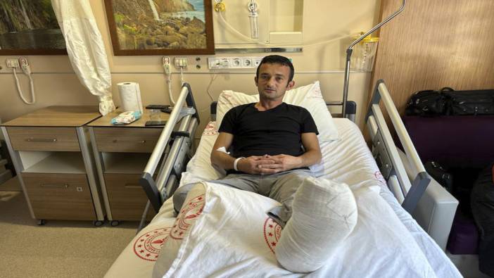 Sinop'ta ayının saldırısına uğrayan kişi yaralandı