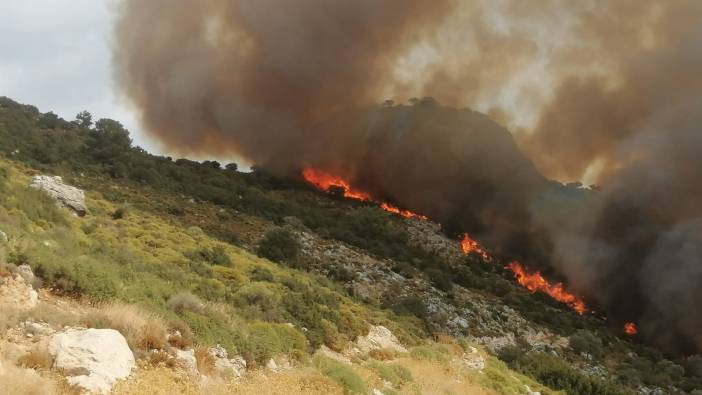 Muğla'da yangın