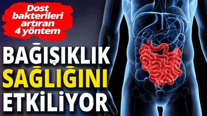 Bağışıklık sağlığını etkiliyor! Dost bakterileri artıran 4 yöntem