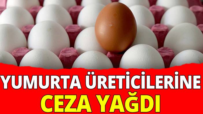 Yumurta üreticilerine ceza yağdı