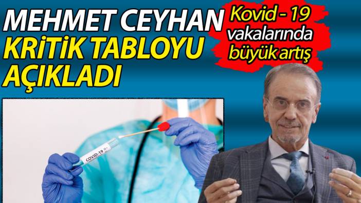 Mehmet Ceyhan kritik tabloyu açıkladı: Kovid - 19 vakalarında büyük artış