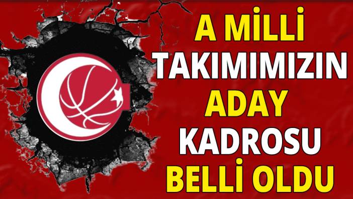 A milli takımımızın aday kadrosu belli oldu