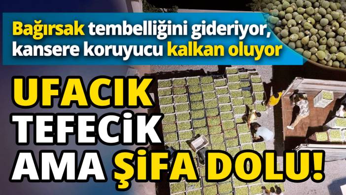 Ufacık tefecik ama şifa dolu! Bağırsak tembelliğini gideriyor, kansere koruyucu kalkan oluyor