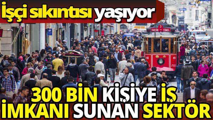 300 bin kişiye iş imkanı sunan sektör: İşçi sıkıntısı yaşıyor