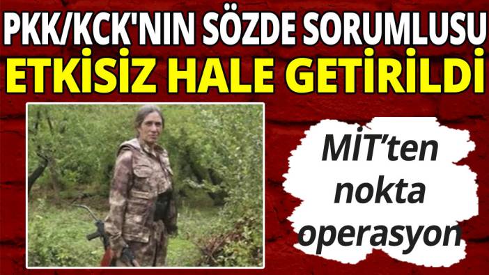 PKK/KCK'nın sözde sorumlusu etkisiz hale getirildi