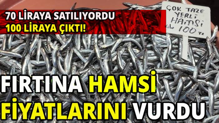 Fırtına hamsi fiyatlarını vurdu