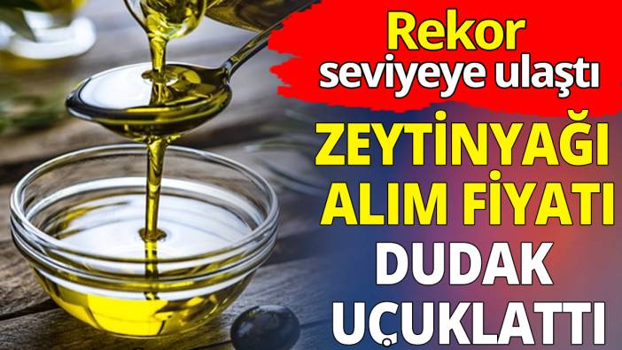 Zeytin alım fiyatı dudak uçuklattı: Rekor seviyeye ulaştı