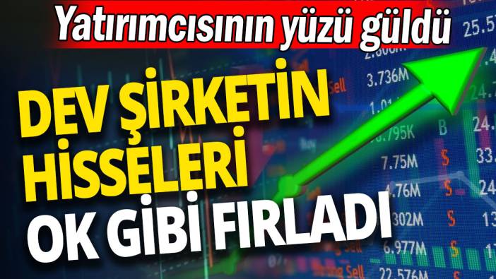 Dev şirketin hisseleri ok gibi fırladı: Yatırımcısının yüzü güldü