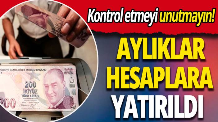 Aylıklar hesaplara yatırıldı: Kontrol etmeyi unutmayın