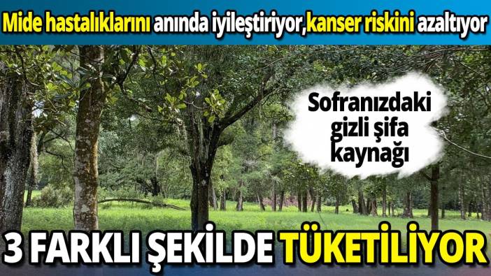 3 Farklı şekilde tüketiliyor! Mide hastalıklarını anında iyileştiriyor, kanser riskini azaltıyor