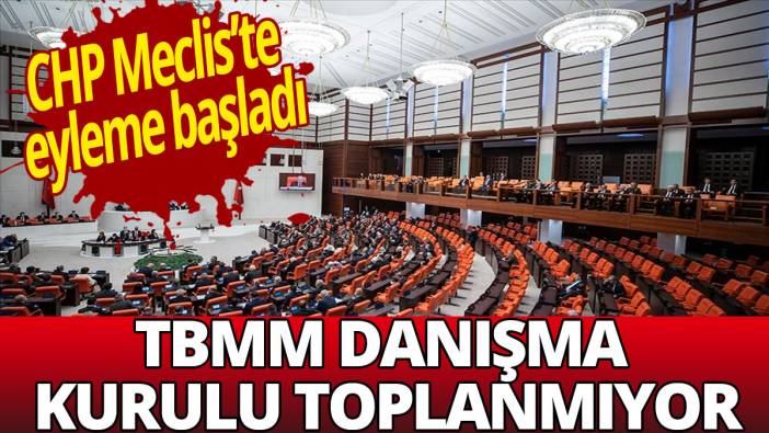 TBMM Danışma Kurulu toplanmıyor: CHP Meclis'te eyleme başladı