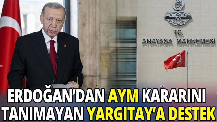 Erdoğan'dan Anayasa Mahkemesi kararını tanımayan Yargıtay'a destek
