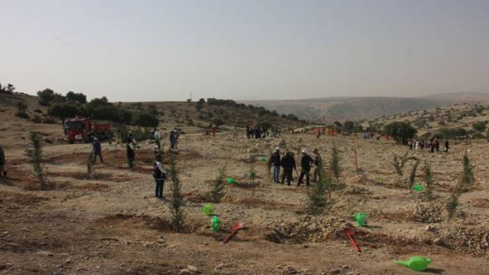 Gaziantep'te yanan ormanlık alana 2 bin yeni fidan dikildi