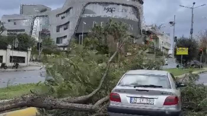İstanbul'da fırtına; ağaç otomobil üzerine devrildi
