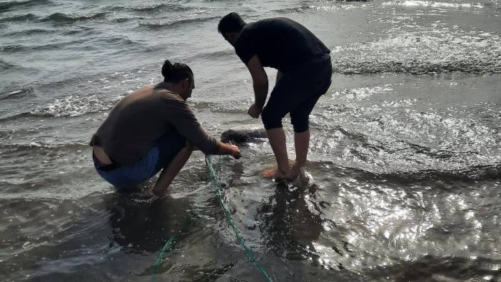 Kaçak ağa takılan deniz kaplumbağası kurtarıldı
