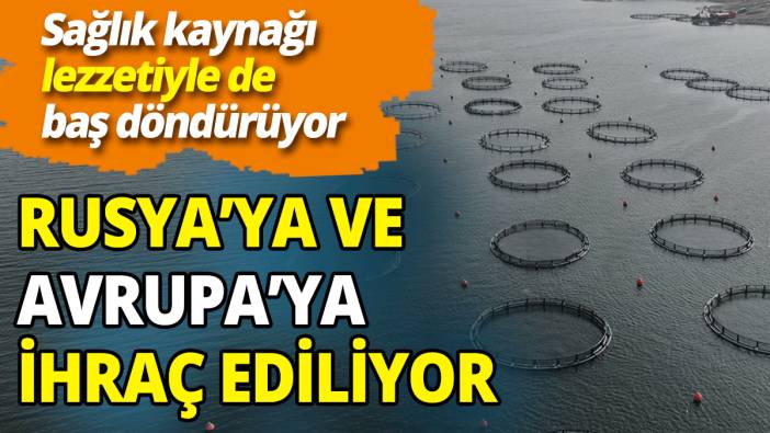 Sağlık kaynağı lezzetiyle de baş döndürüyor Rusya’ya ve Avrupa ülkelerine ihraç ediliyor