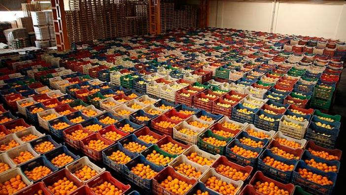 Yaş meyve sebze ihracatı rekora koşuyor
