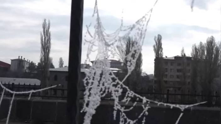 Soğuk hava nedeniyle örümcek ağları bile buz tuttu