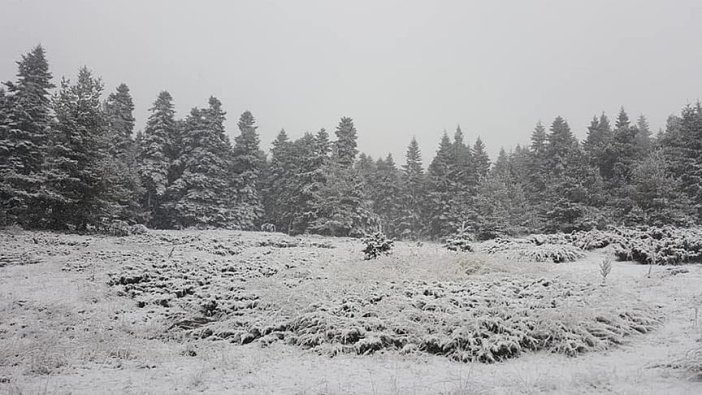 Ankara'ya mevsimin ilk karı düştü