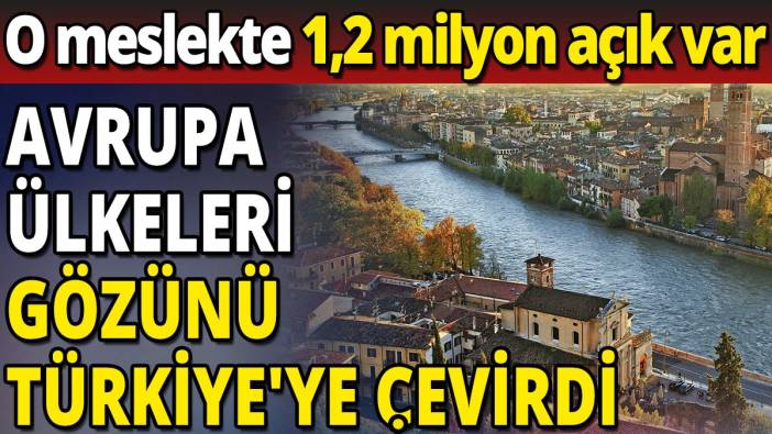 Avrupa ülkeleri gözünü Türkiye'ye çevirdi 'o meslekte 1,2 milyon açık var'