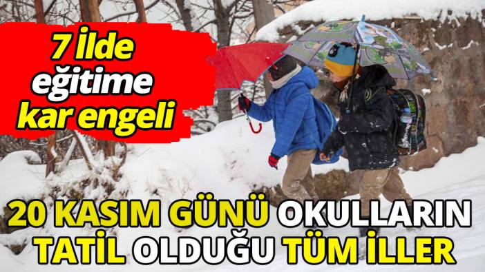 7 İlde eğitime kar engeli 20 Kasım günü okulların tatil olduğu tüm iller