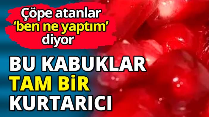 Çöpe atanlar ‘ben ne yaptım’ diyor  Bu kabuklar tam bir kurtarıcı