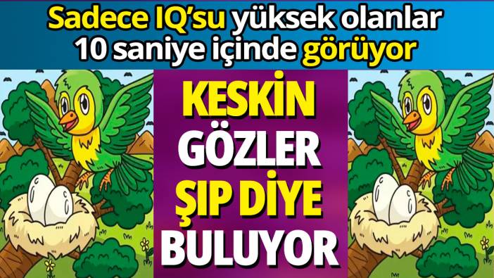 Sadece IQ’su yüksek olanlar 10 saniye içinde farkı görüyor ‘Keskin gözler şıp diye buluyor'