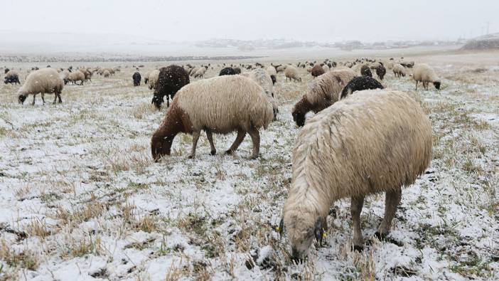 Kars'ta kar yağışına hazırlıksız yakalanan besiciler zor anlar yaşadı