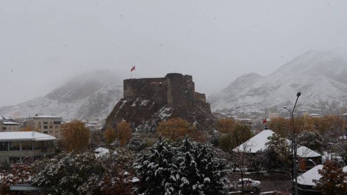 Erzurum'da veliler kar tatili istedi