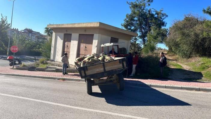 Trafoya çarpan traktörün sürücüsü yaralandı