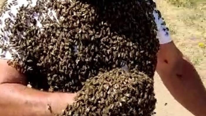 'Arı adam'ın bin kovan arısı selde telef oldu