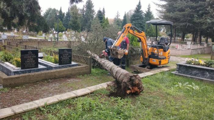 Fırtınada devrilen ağaçlar mezarlara zarar verdi