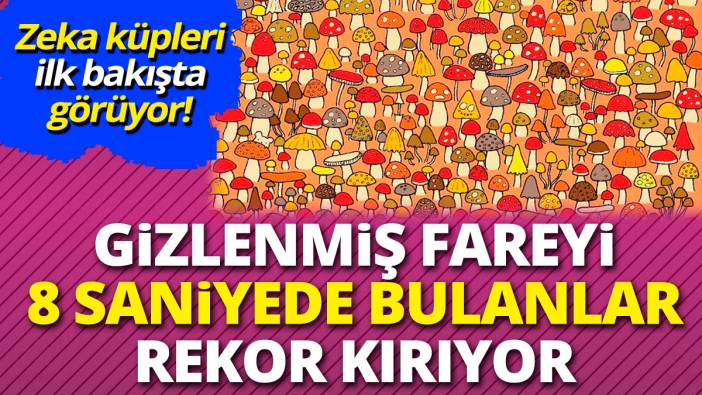 Zeka küpleri ilk bakışta görüyor! Gizlenmiş fareyi 8 saniyede bulanlar rekor kırıyor