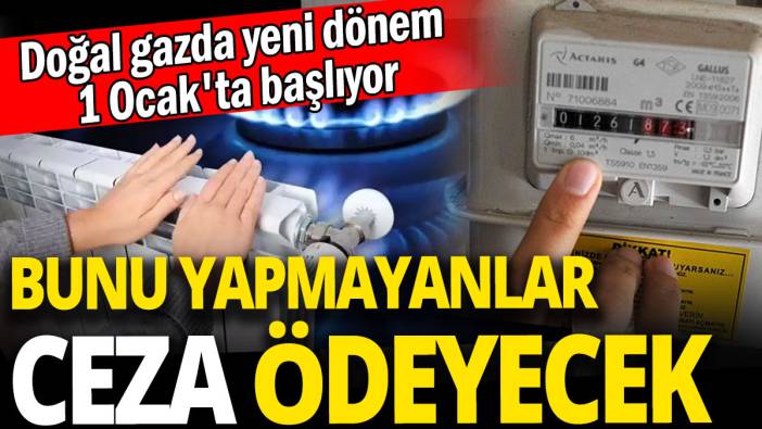 Doğal gazda yeni dönem 1 Ocak'ta başlıyor 'Bunu yapmayanlar ceza ödeyecek'