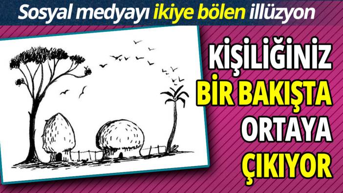 Kişiliğiniz bir bakışta ortaya çıkıyor 'Sosyal medyayı ikiye bölen optik illüzyon