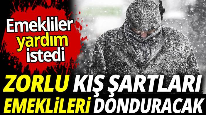 Emekliler yardım istedi zorlu kış şartları emeklileri donduracak