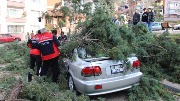Fırtınada üstüne ağaç devrilen otomobildeki 3 genç baltayla kurtarıldı