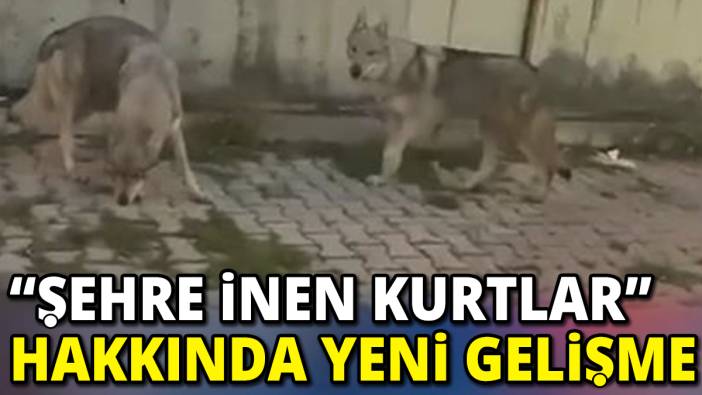 'Şehre inen kurtlar' hakkında yeni gelişme