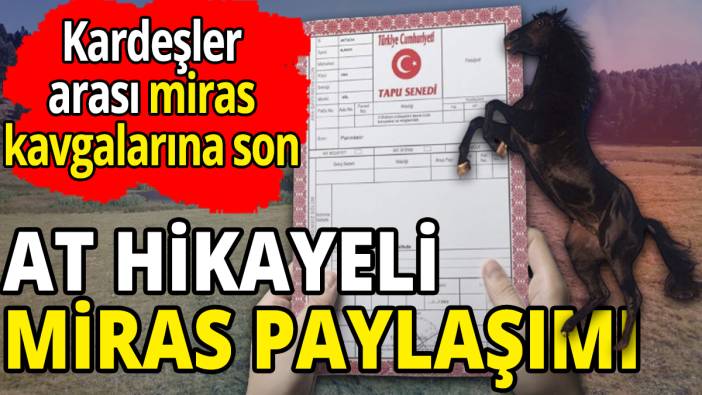 At hikayeli miras paylaşımı 'Kardeşler arası miras kavgasına son'
